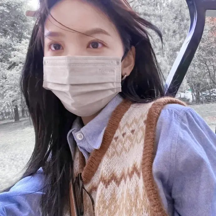老处女日记